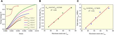 Rock-like material under large diameter SHPB dynamic splitting tension: meso-damage mechanical behavior and stress wave propagation model